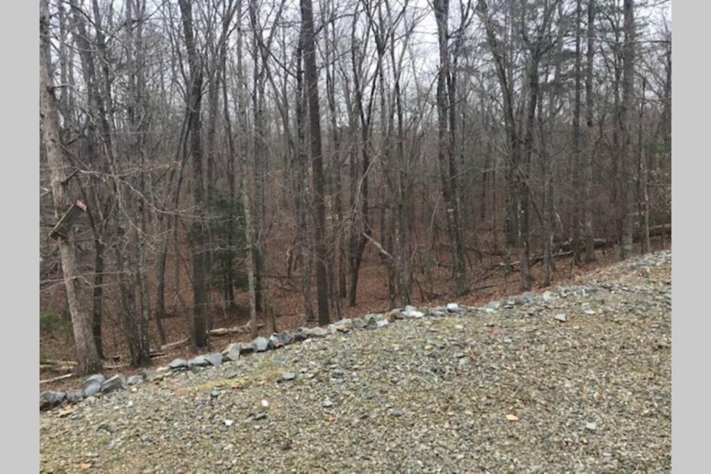 Eagle Mountain River Retreat 埃利杰 外观 照片